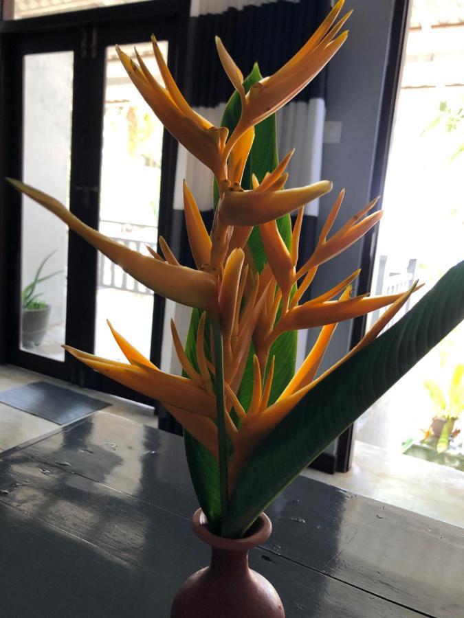 Mandy House Apartment Habaraduwa Bagian luar foto